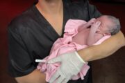 Bebê nasce em ambulância do SAMU na noite de São João em Petrolina