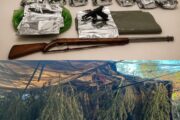 Cerca de 170 kg de maconha e armas de fogo são apreendidos pela PM na zona rural de Casa Nova