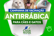 Casa Nova inicia campanha de vacinação antirrábica para cães e gatos nesta terça-feira (21)