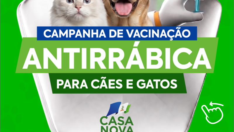 Casa Nova inicia campanha de vacinação antirrábica para cães e gatos nesta terça-feira (21)