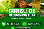 Prefeitura de Casa Nova oferece curso gratuito de meliponicultura