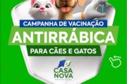 Confira o cronograma de vacinação Antirrábica desta semana em Casa Nova