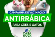Campanha de Vacinação Antirrábica finaliza nesta segunda-feira (31) em Casa Nova; confira programação