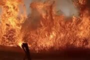 Incêndio de grandes proporções segue ativo desde domingo entre Pilão Arcado e Campo Alegre de Lourdes