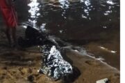 Corpo de jovem é encontrado na Ilha do Fogo, entre Petrolina e Juazeiro