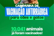Casa Nova ultrapassa 10 mil cães e gatos vacinados contra a raiva
